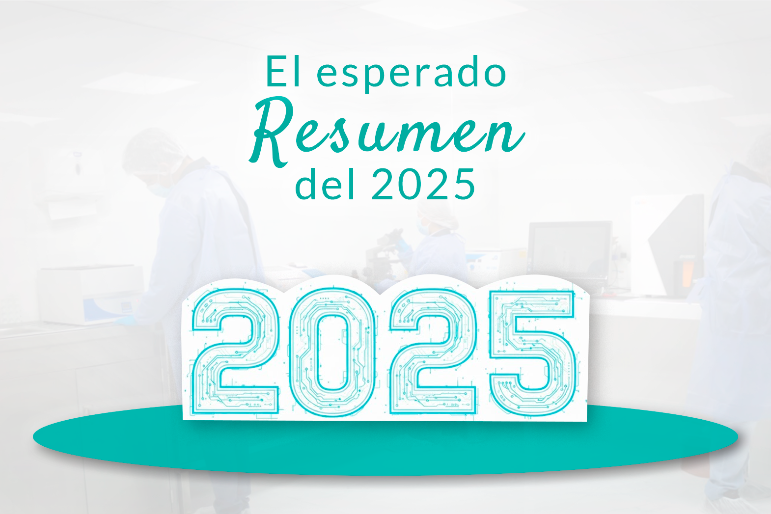 resumen del 2025